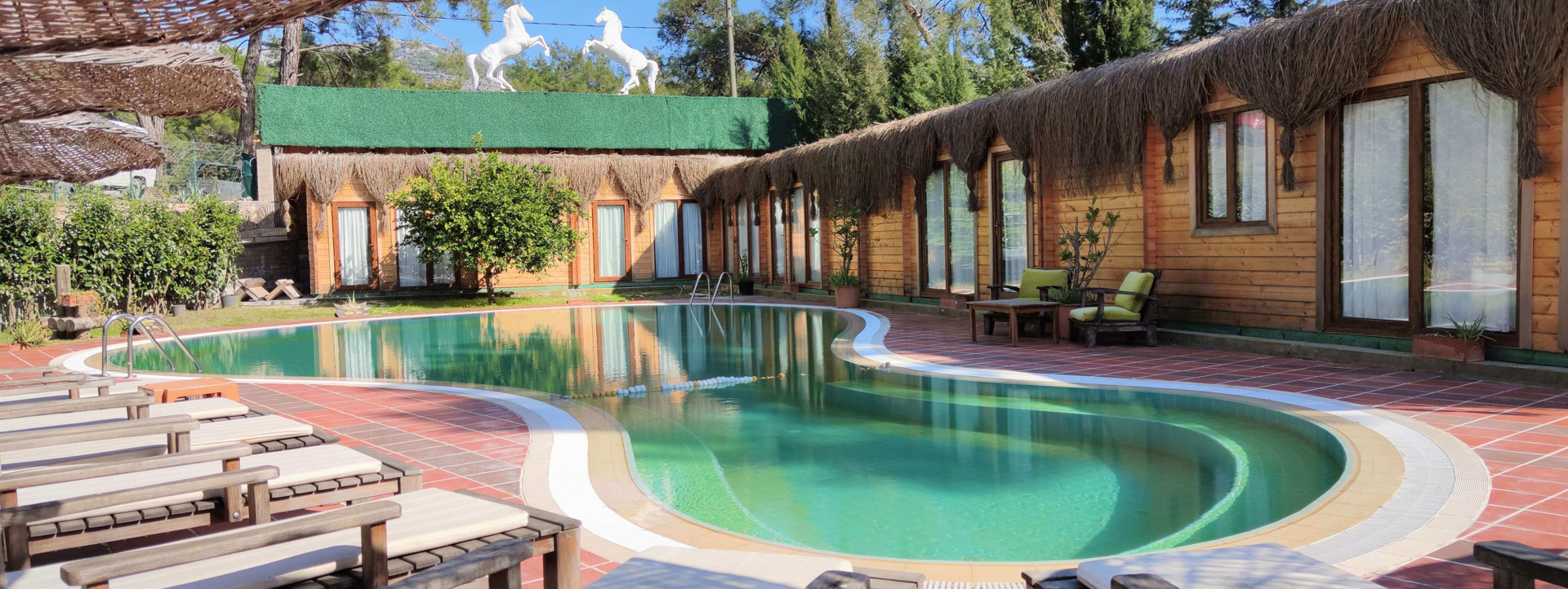 Hotel Olympos Village jest położony w środku piniowo-sosnowego lasu